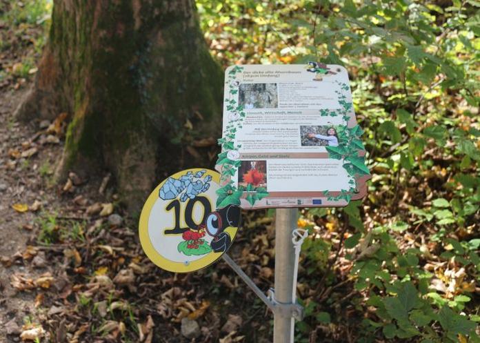 Jahreszeitenweg Golling