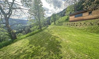 A green meadow with trees and a wooden house in the background. The sky is partially cloudy and the landscape is picturesque.