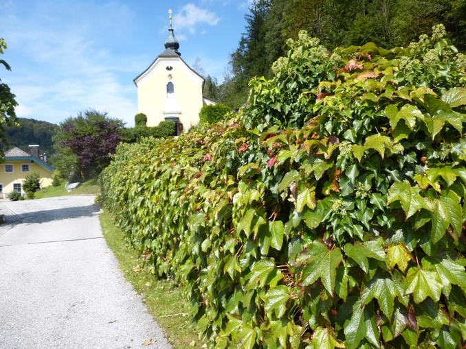 Pfarrkirche Ebenau
