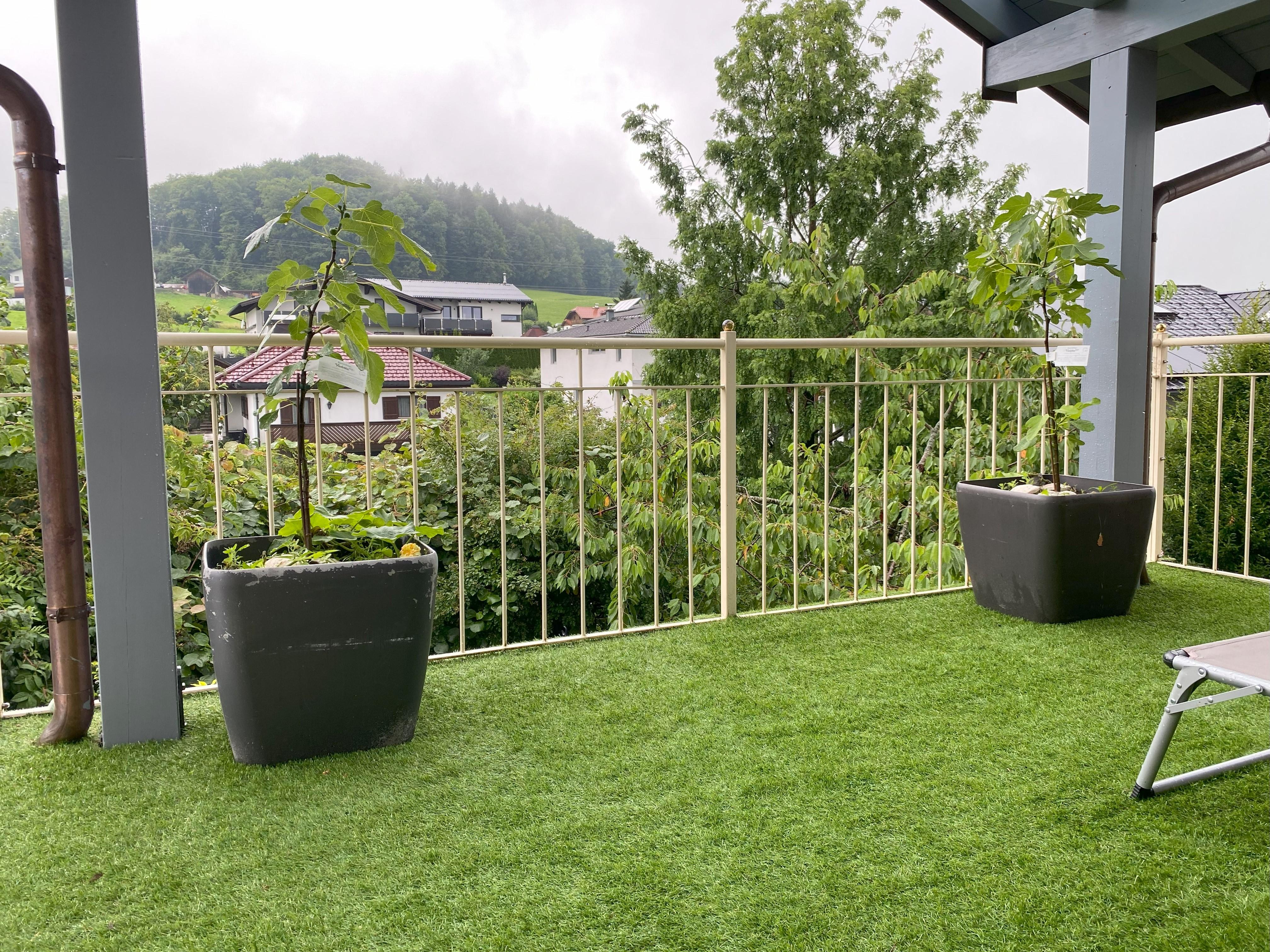 A terrace with green artificial grass and two large flower pots. In the background, trees and houses can be seen.