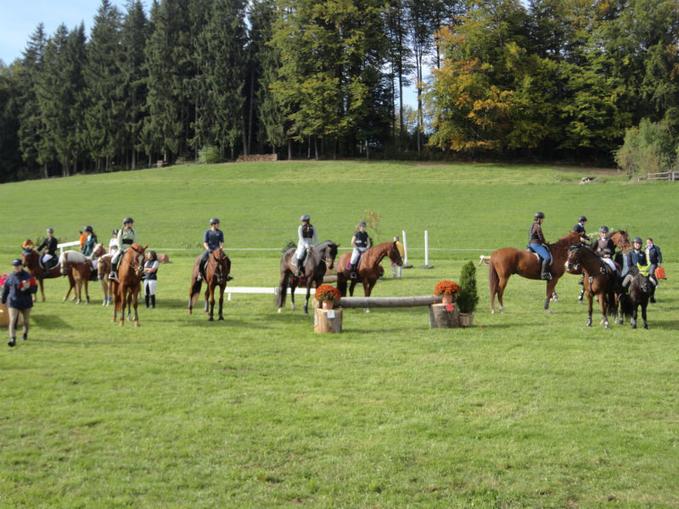 Haflinger- und Ponyreiten in Mattsee