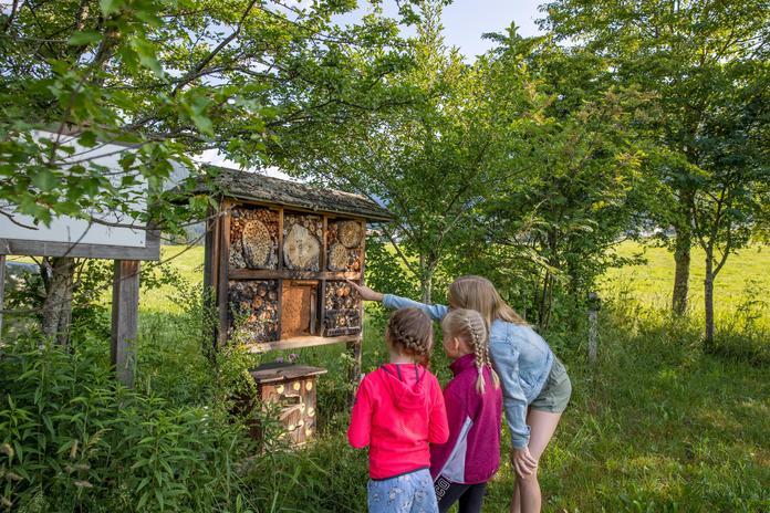Bienenlehrpfad