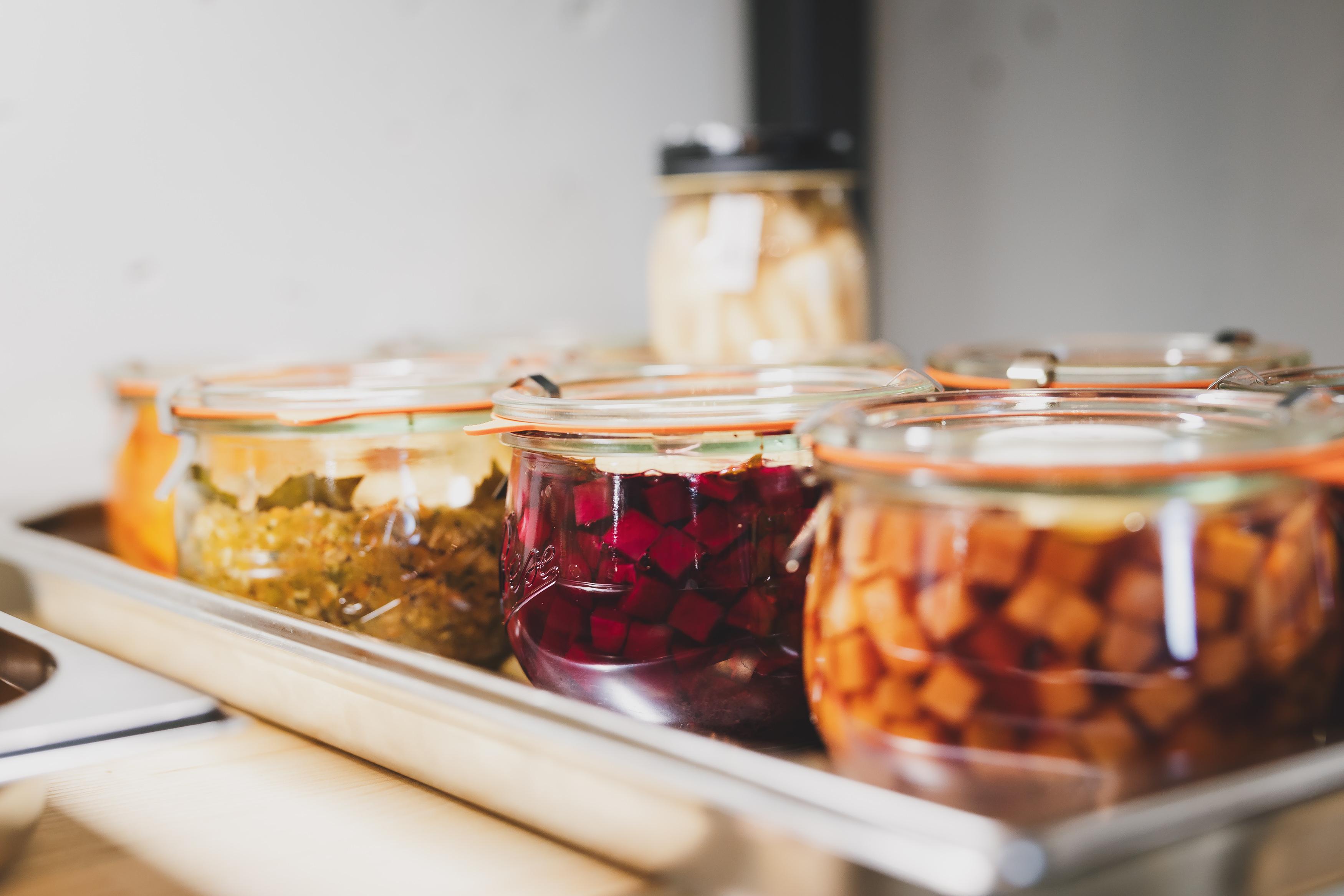 Das Mikrobiom – Einfluss und Nutzen fermentierter Lebensmittel