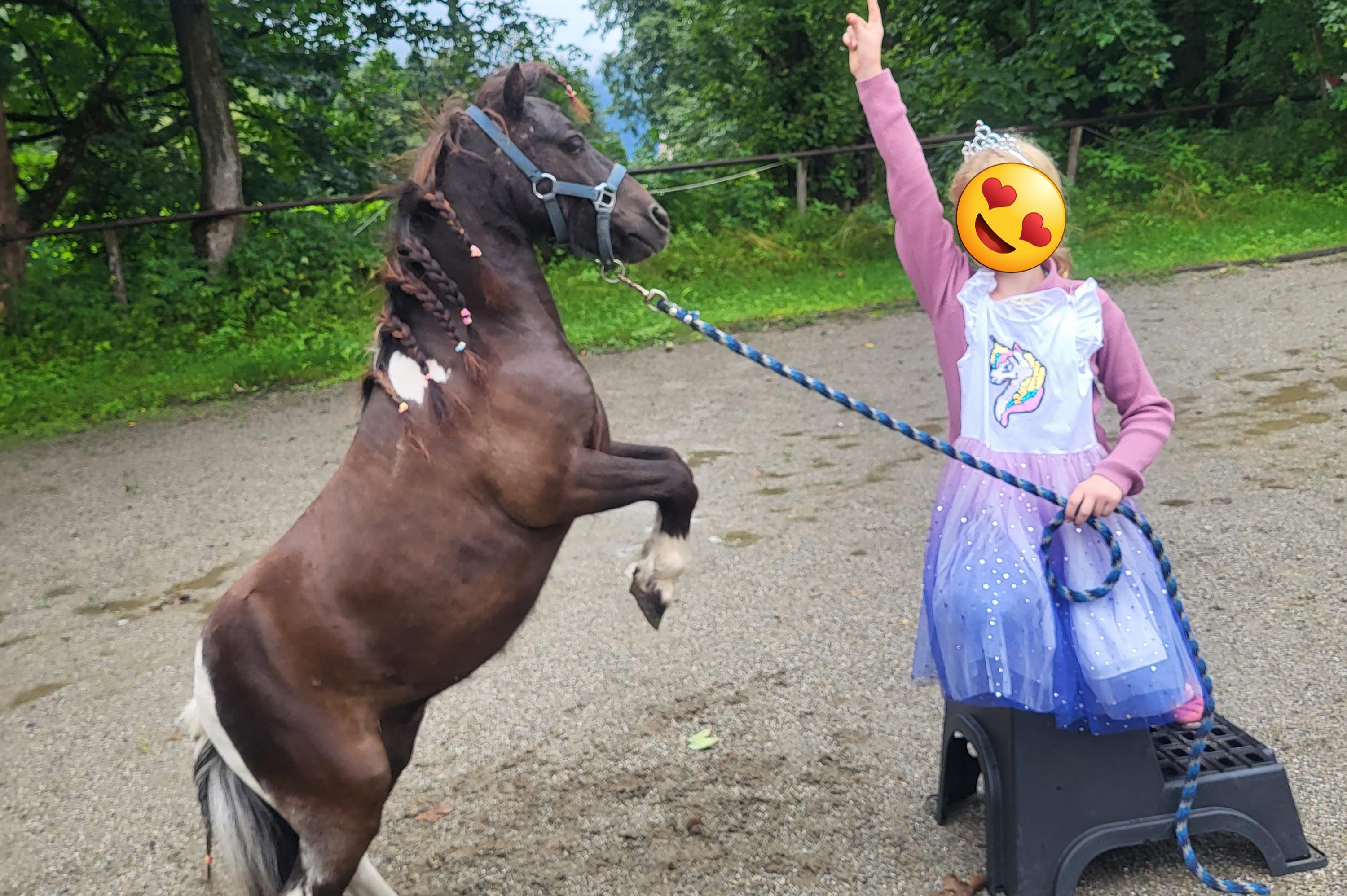 Abenteuer am Ponyhof