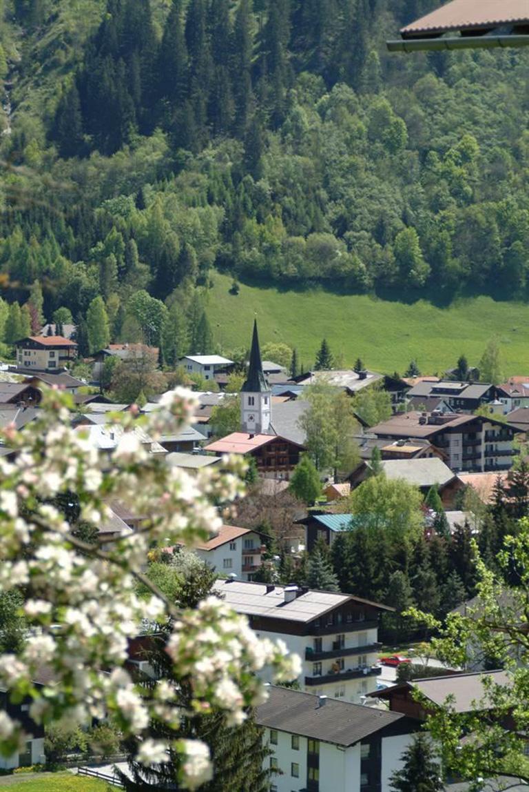 Haus Gamskarblick Dorfgastein Zentrum