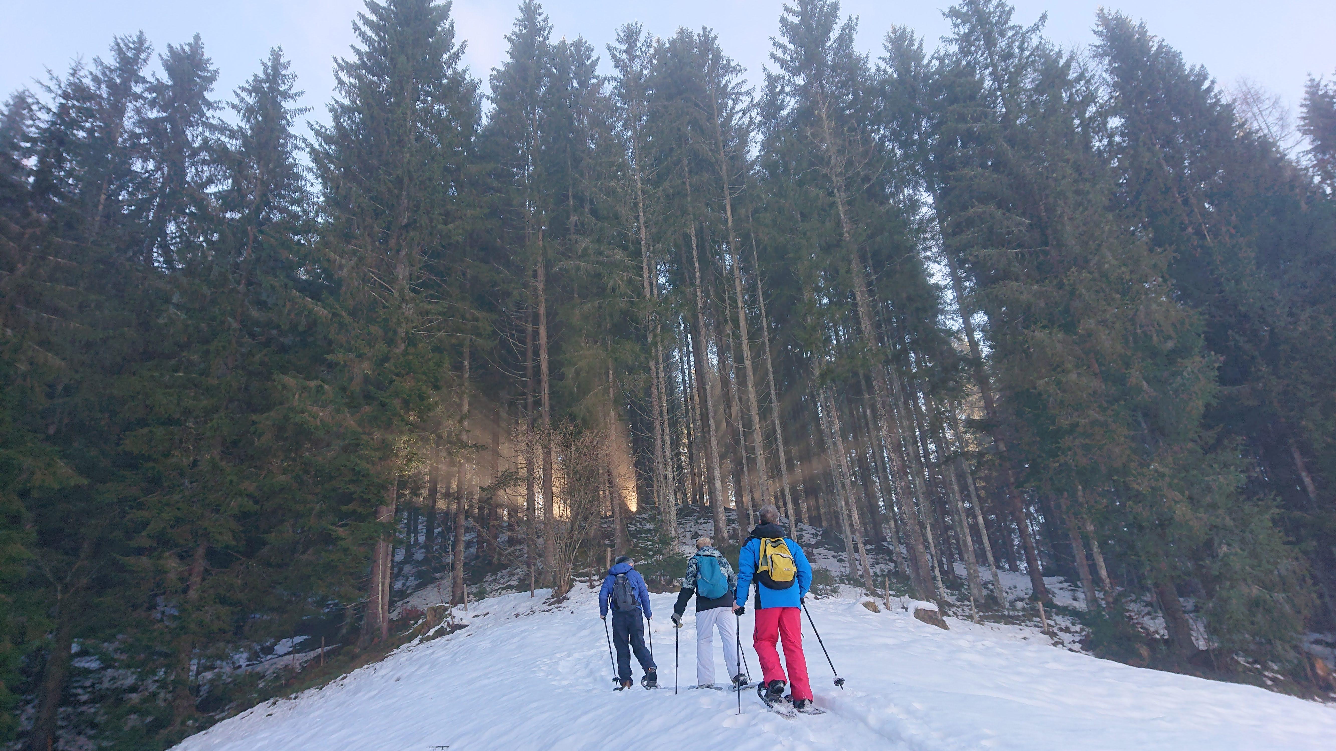 SCHNEESCHUHWANDERUNG mit Naturerlebnis