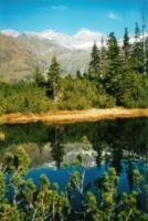 Naturerlebnis Wiegenwald