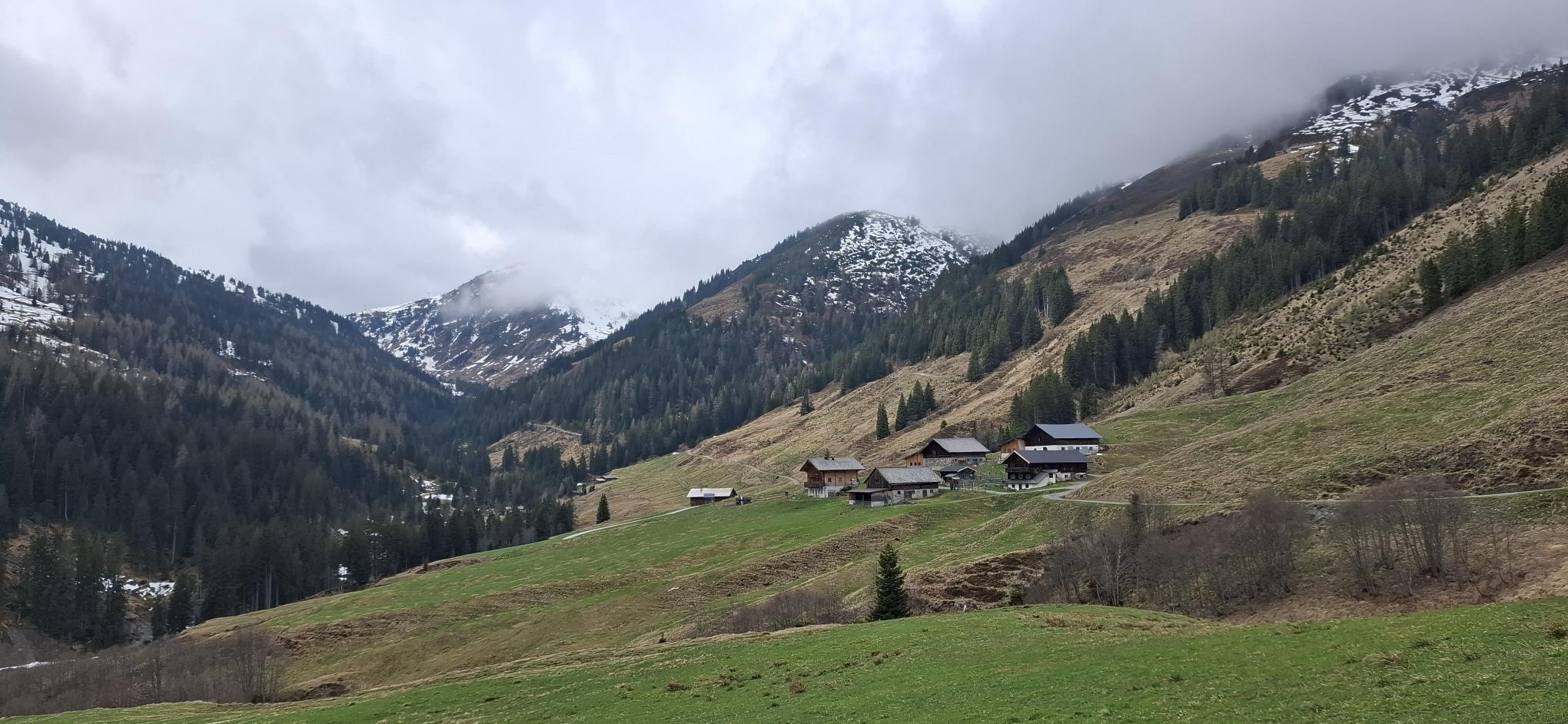 Geführte Wanderung zur Baumgartenalm