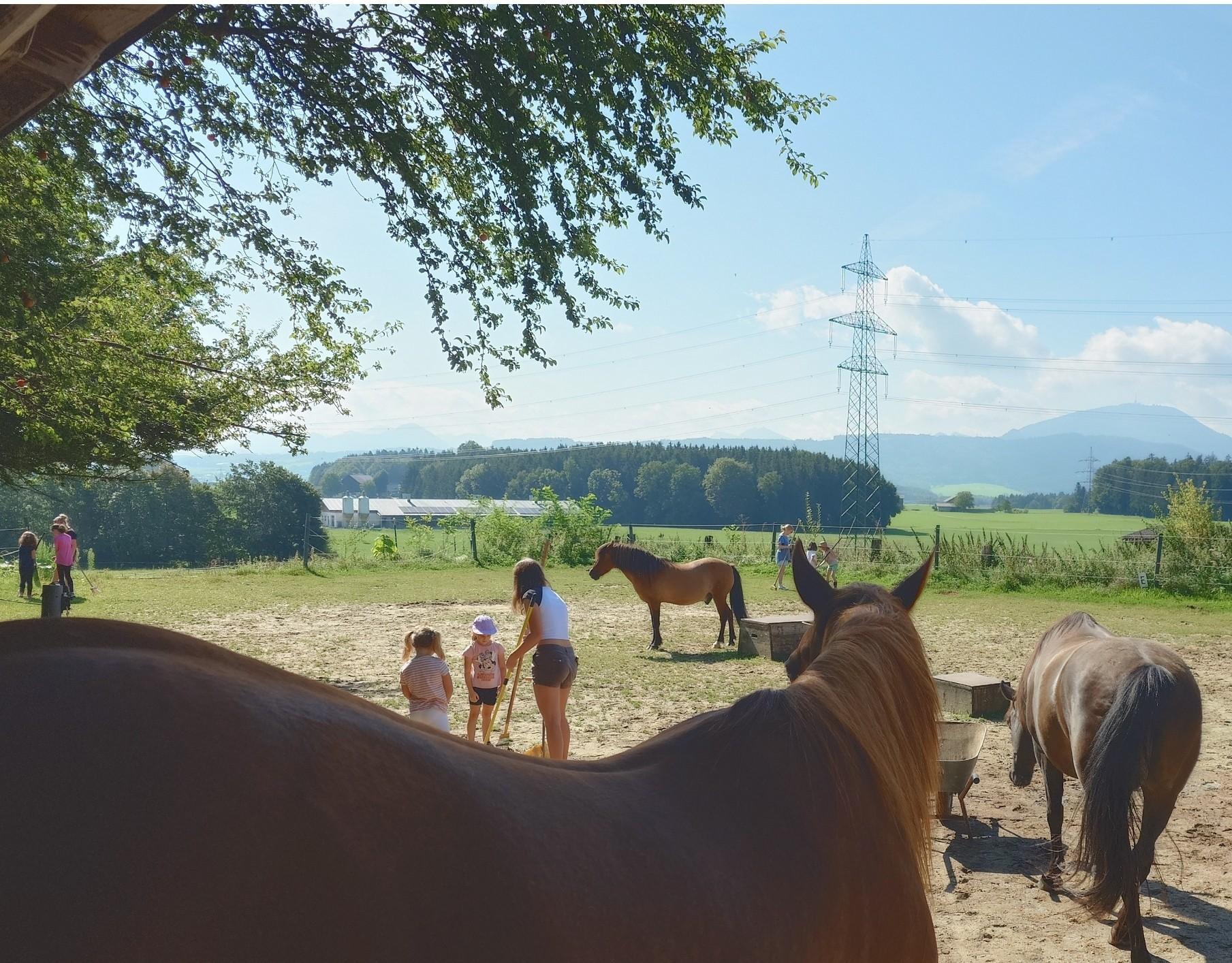 Stark starten – Ressourenatelier für Kinder