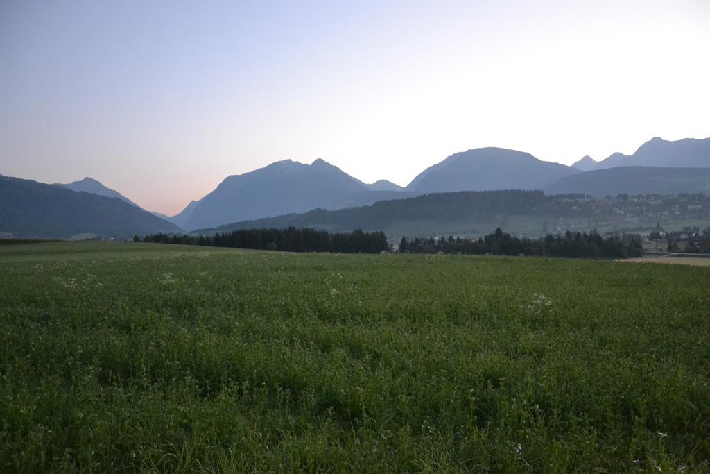 A green meadow landscape with gentle hills and majestic mountains in the background. The sky is slightly blue with the light of twilight.