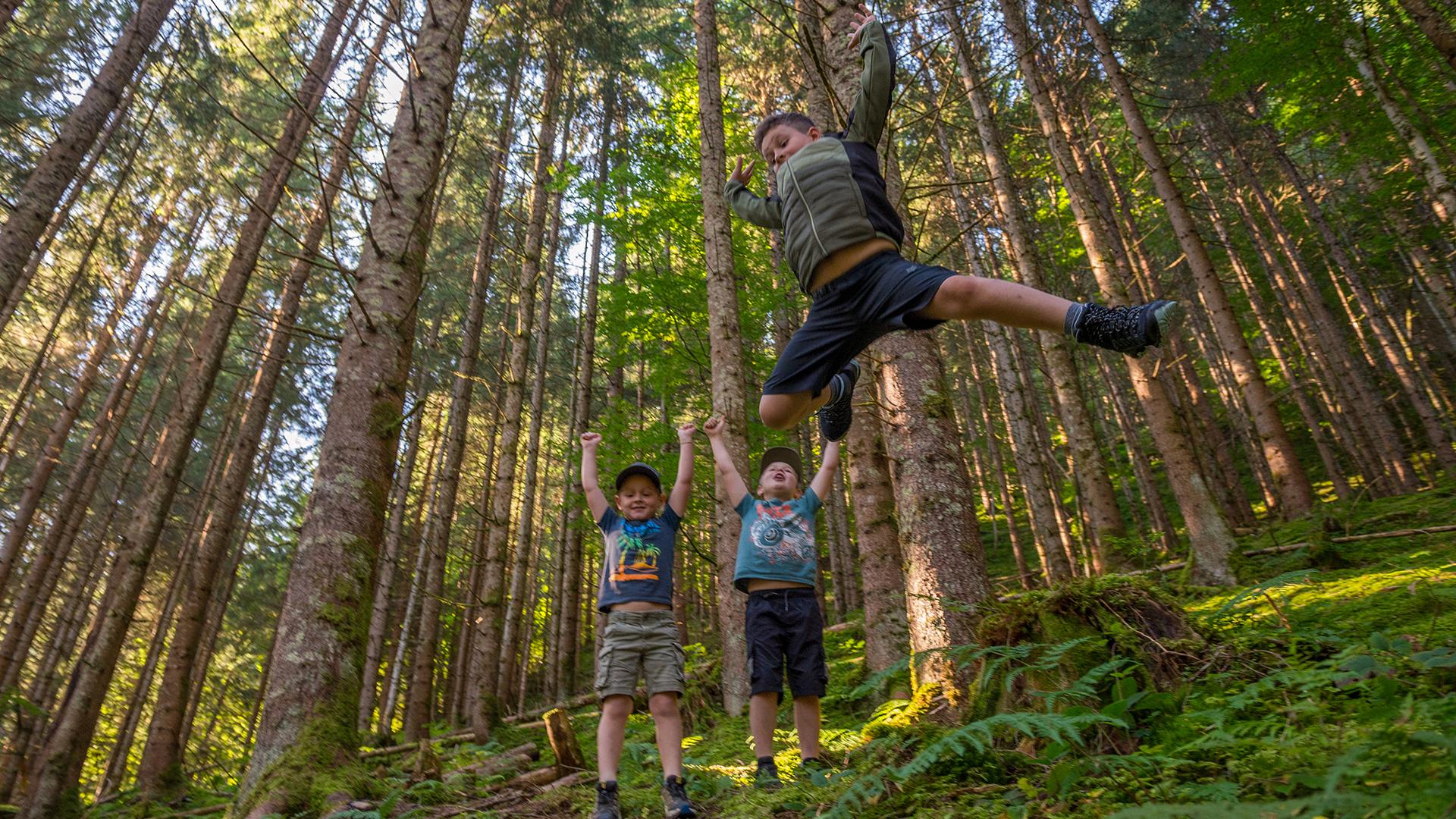 Geführte Kinderwanderung
