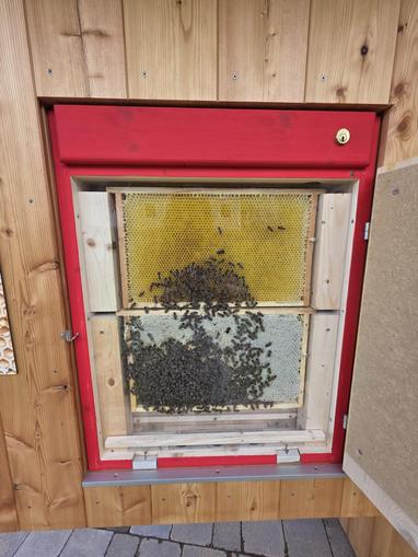 Bienenlehrpfad