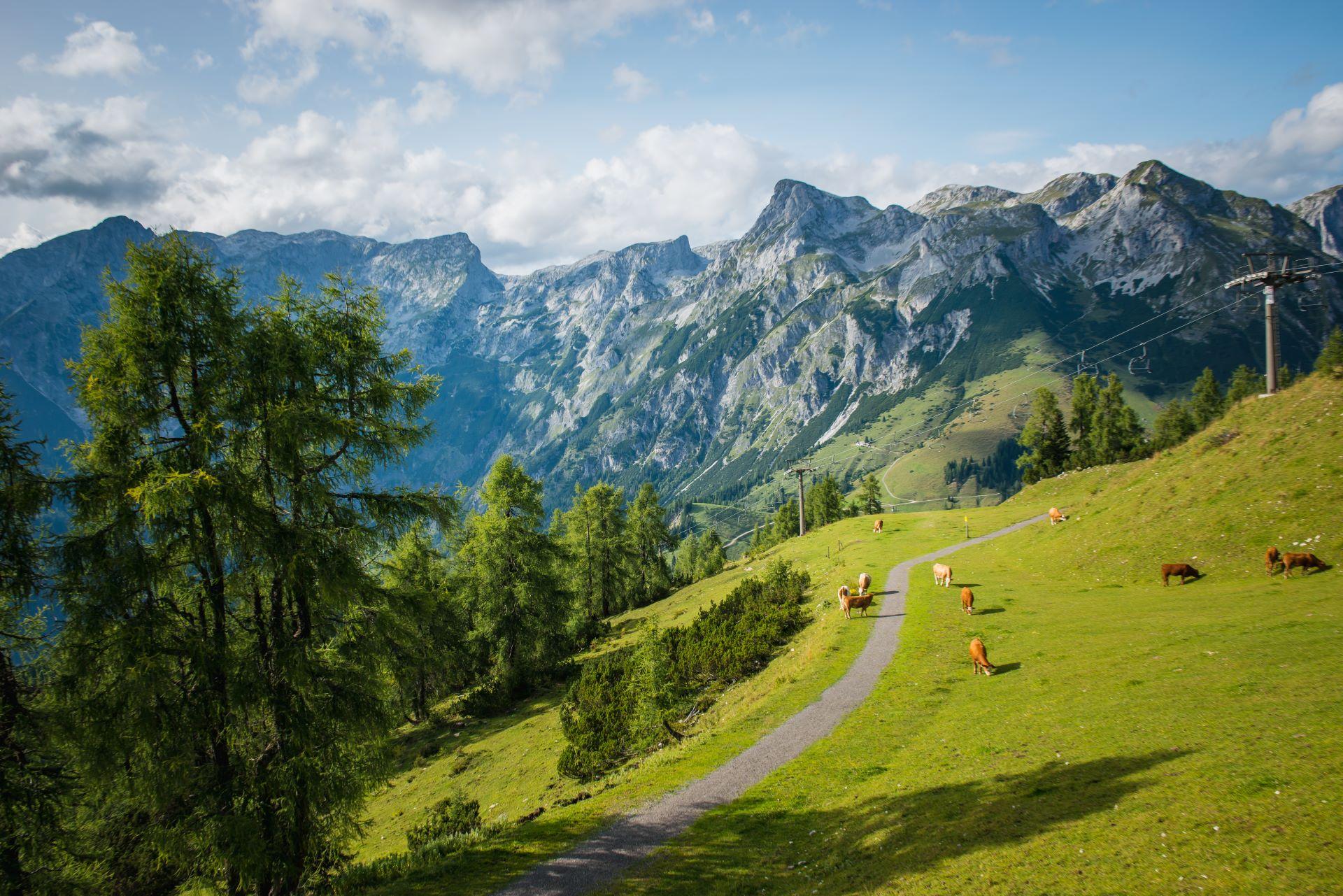 Geführte Genusswanderung