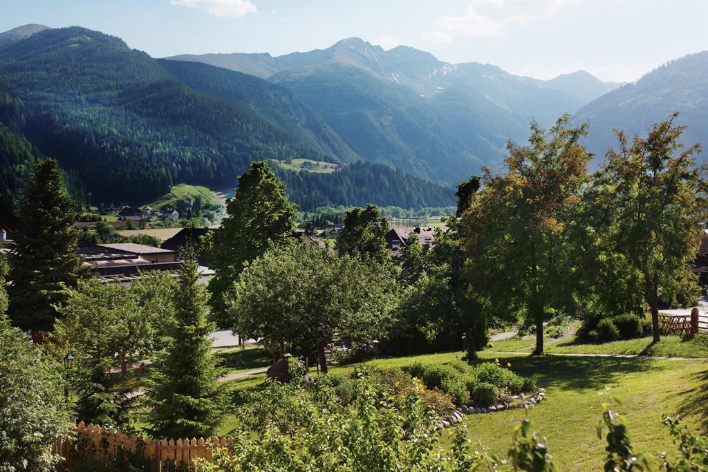 A picturesque view of the mountains with green hills and forests. In the foreground, there are lush trees and a well-maintained garden.