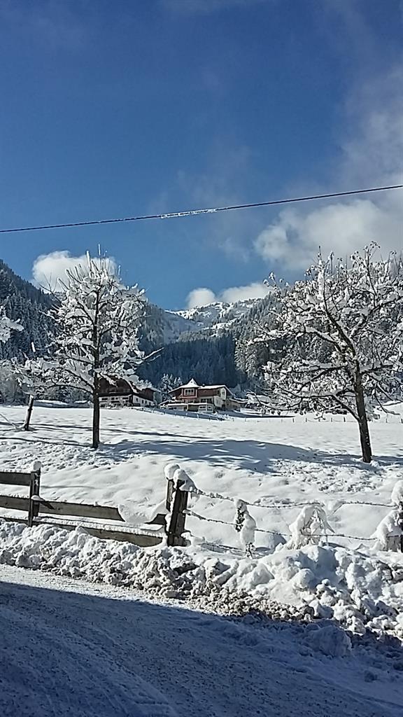 A winter landscape with lots of snow and trees. In the background, mountains and a cozy house can be seen.