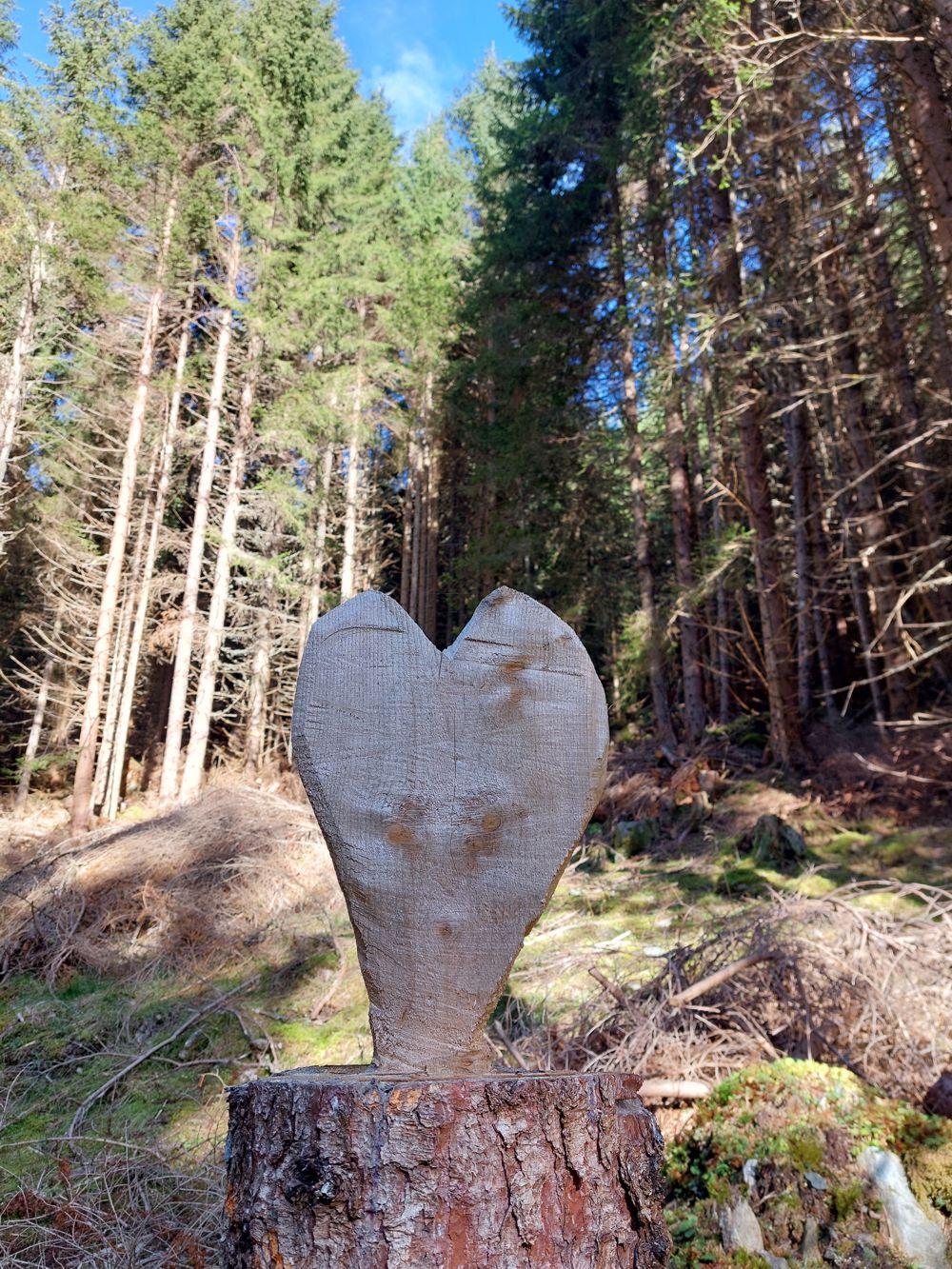 Heilsamer Wald