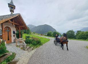 Kutschenfahren im Sommer auf der Ziegelhütte