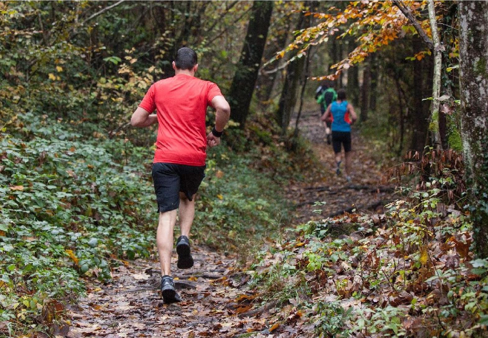 Taugl Cross Country Lauf