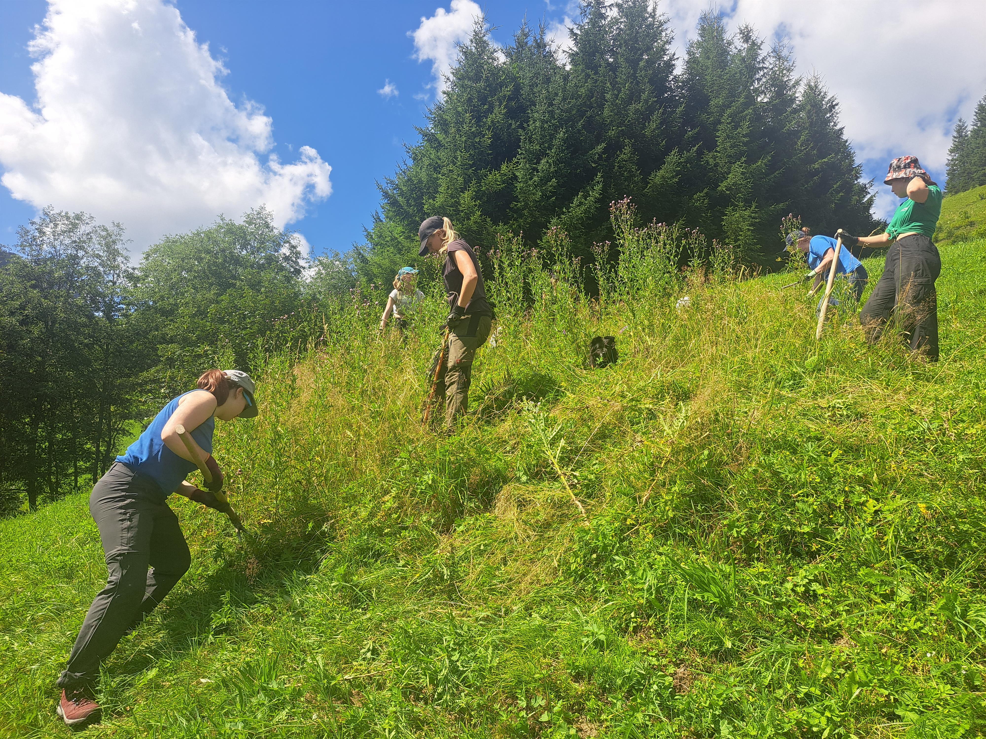 Mit anpacken im Naturpark