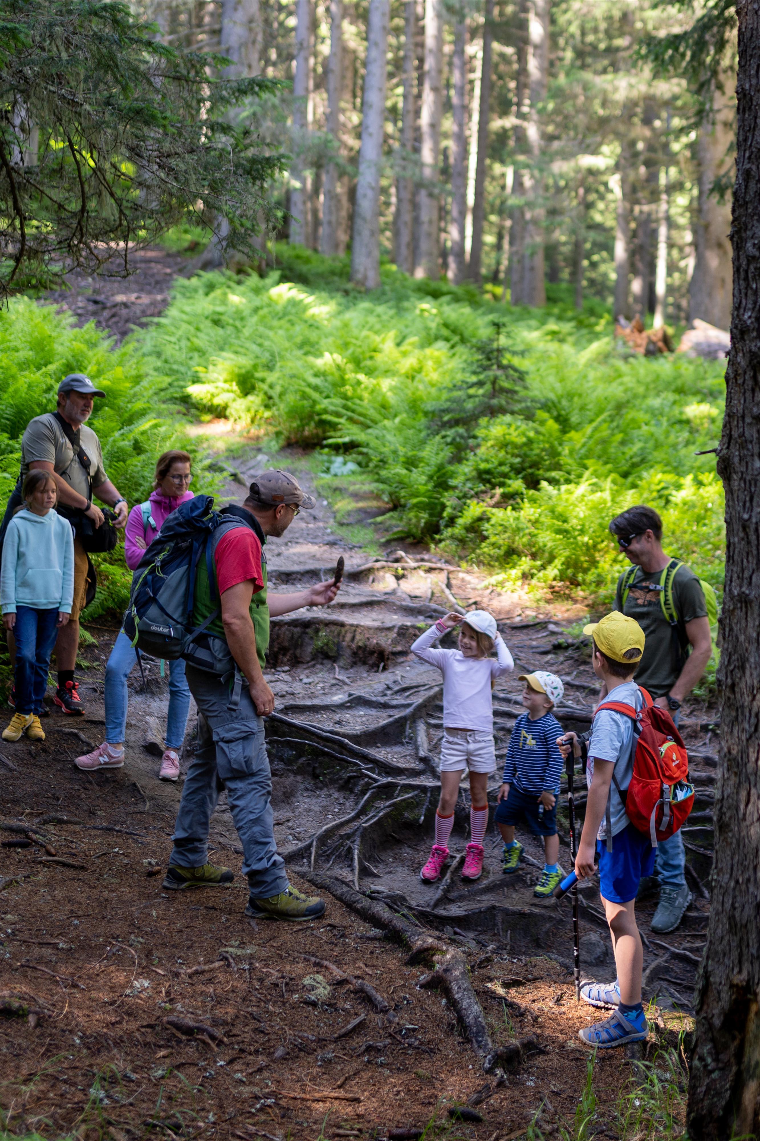 Nationalpark Exkursion Rauriser Urwald