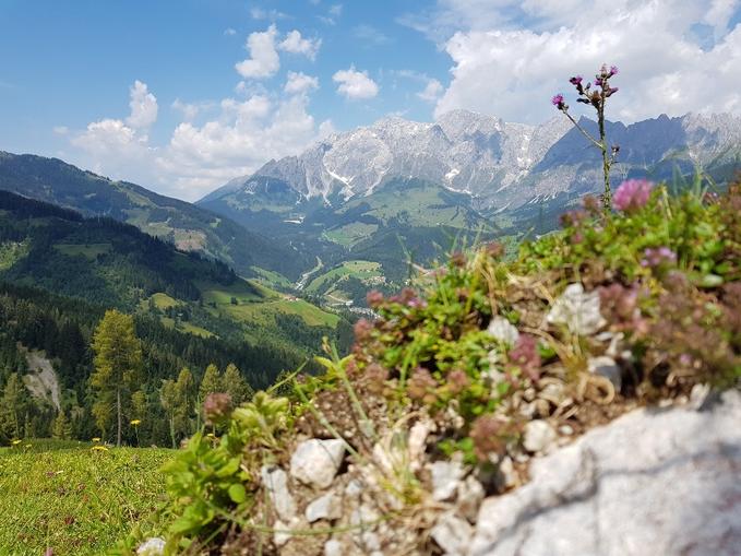 Geführte E-Bike Tour (Proneben-Hochkeil-Runde)