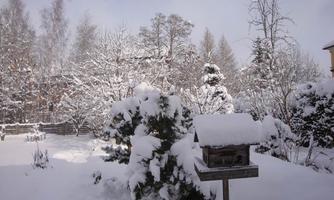 A snow-covered garden with trees and shrubs. A birdhouse stands in the foreground, covered in snow.