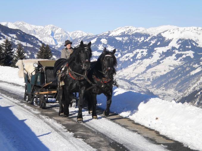 Pferdeschlittenfahrten Fam. Pichler