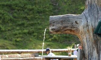 A rustic wooden fountain with bubbling water. In the background, green meadows and flowers can be seen.