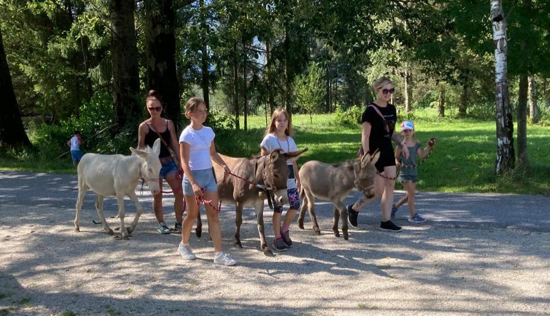 Eselwanderung in Eschenau