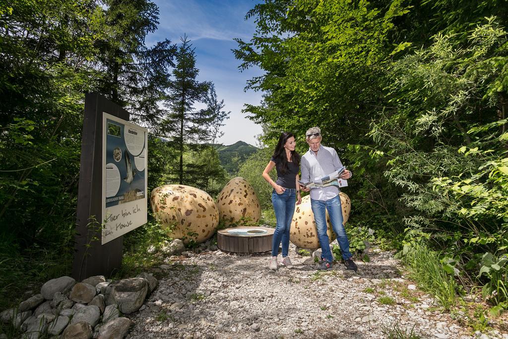 Geführte Wanderung entlang der „Lebensader Taugl“
