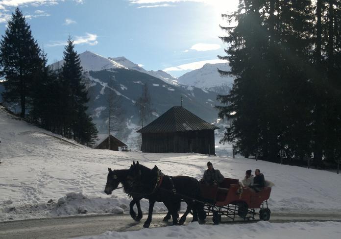 Pferdeschlittenfahrten Fam. Stuhler