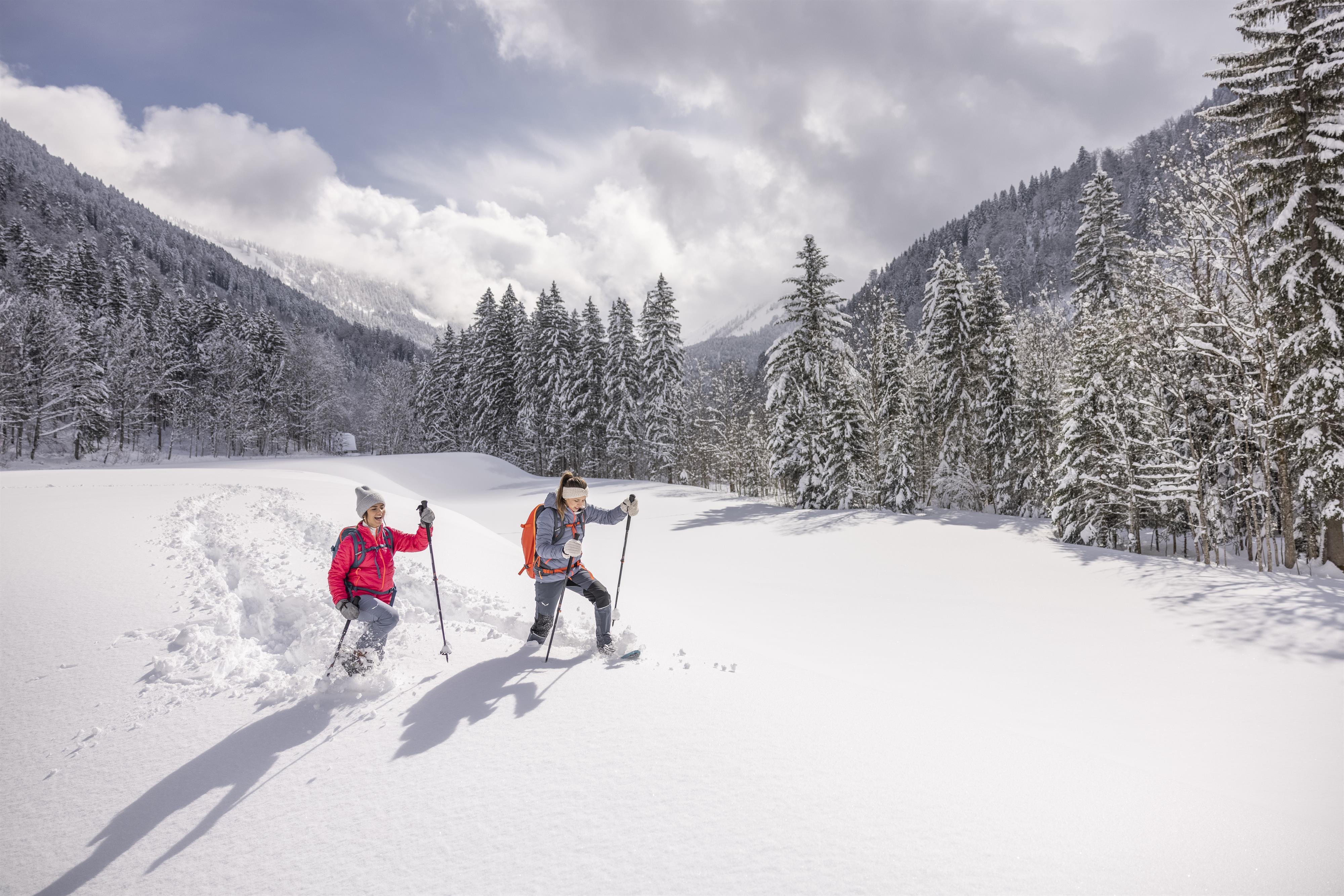 Geführte Schneeschuh- bzw. Winterwanderung