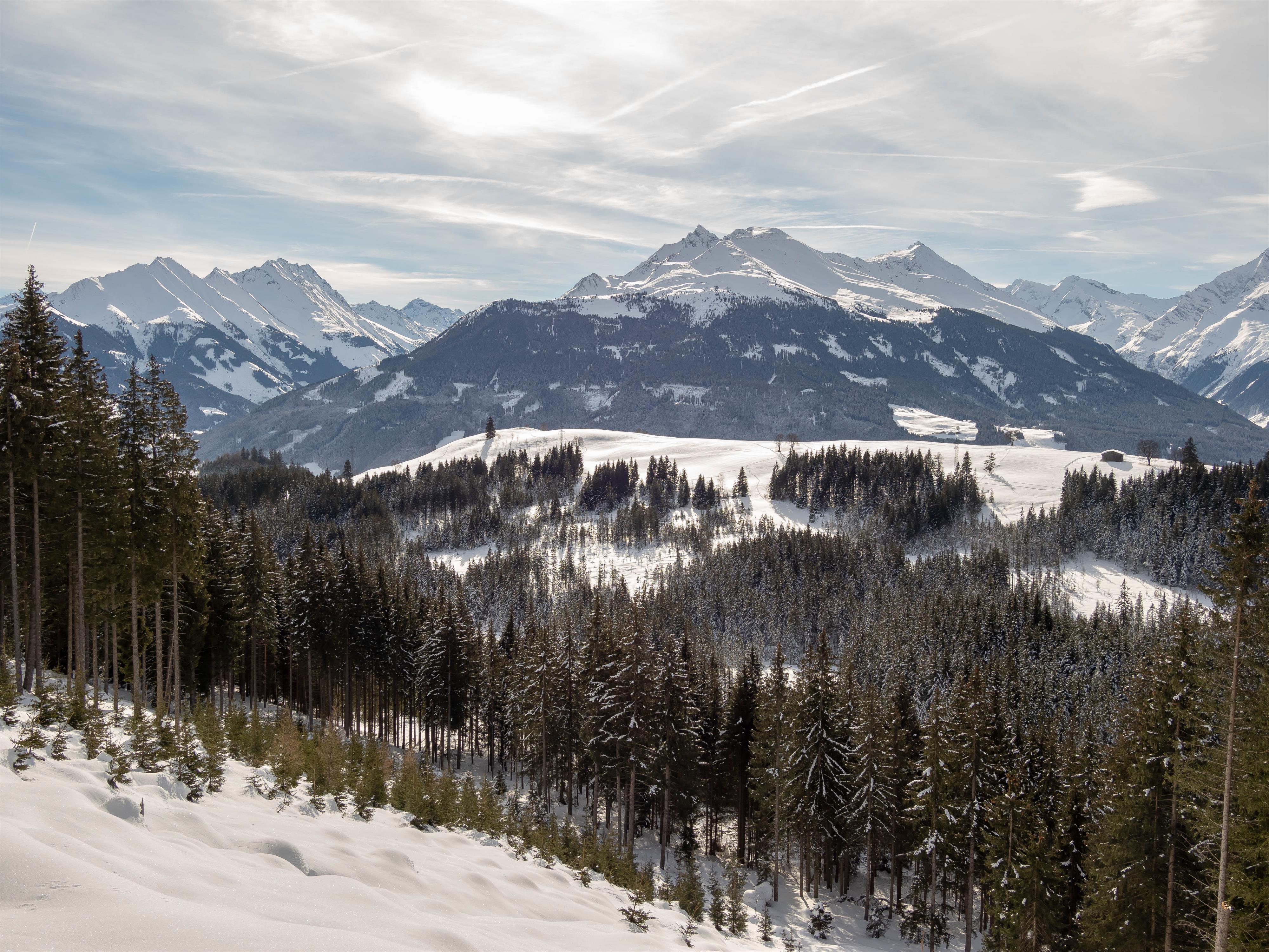 Schneeschuhtour: Wasenmoos – Ausblicke in die Hohen Tauern