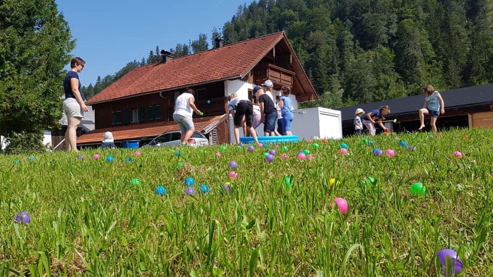 Sommercamp am Pferdehof Almgut