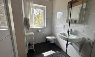 A modern bathroom with a large shower and a sink. Natural light pours in through a window and there is a minimalist decor.