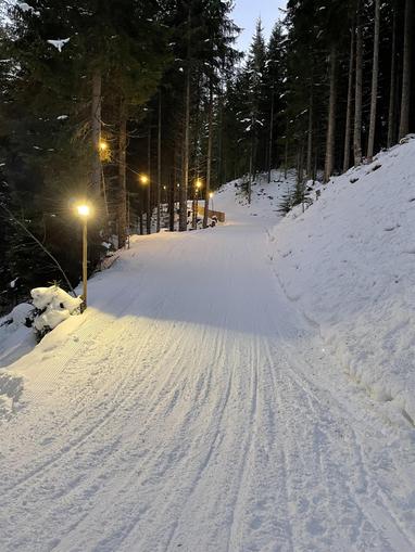 Rodelbahn beim Hotel Lammwirt
