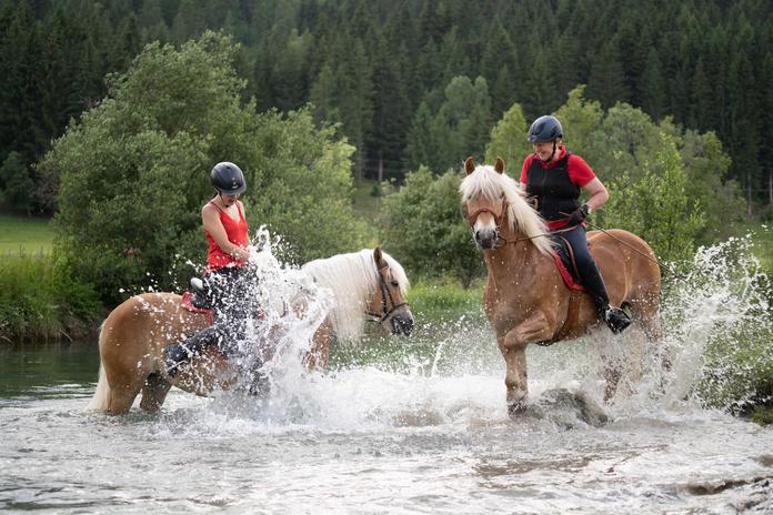 Reiten beim Reitbetrieb Angermann in Mariapfarr