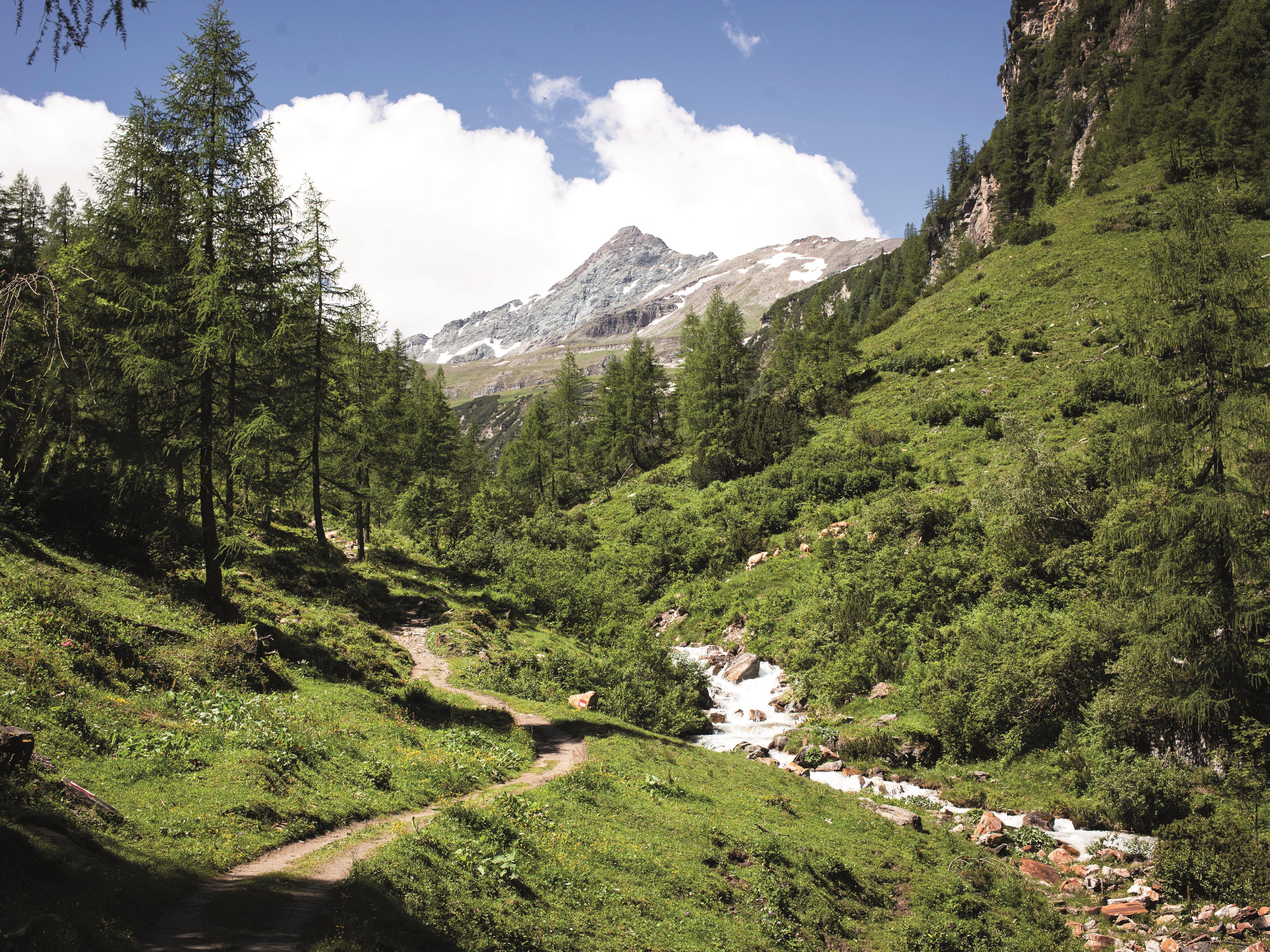 Ins Tal der Almen