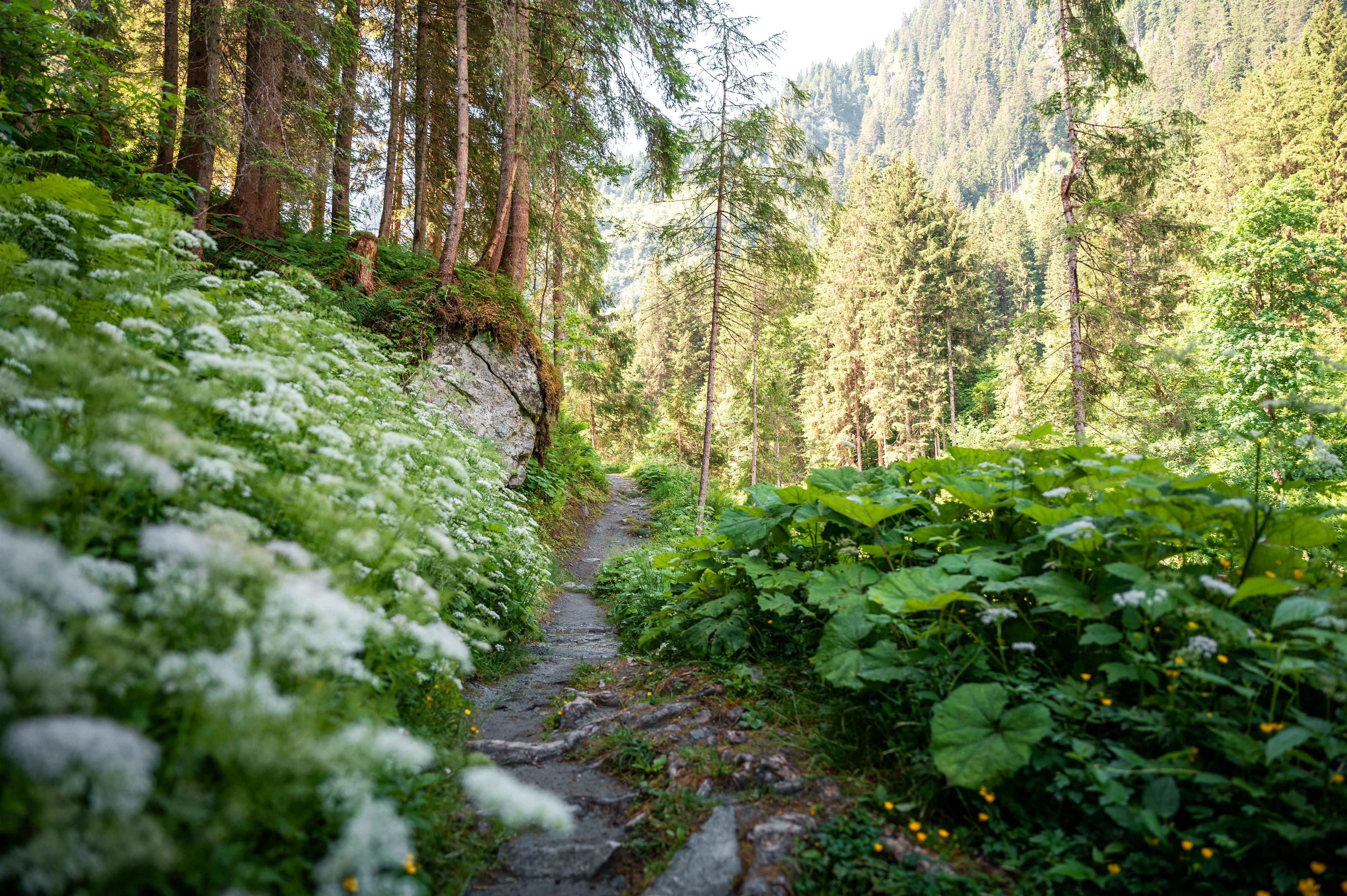 NPHT: Das Scharrntal entdecken