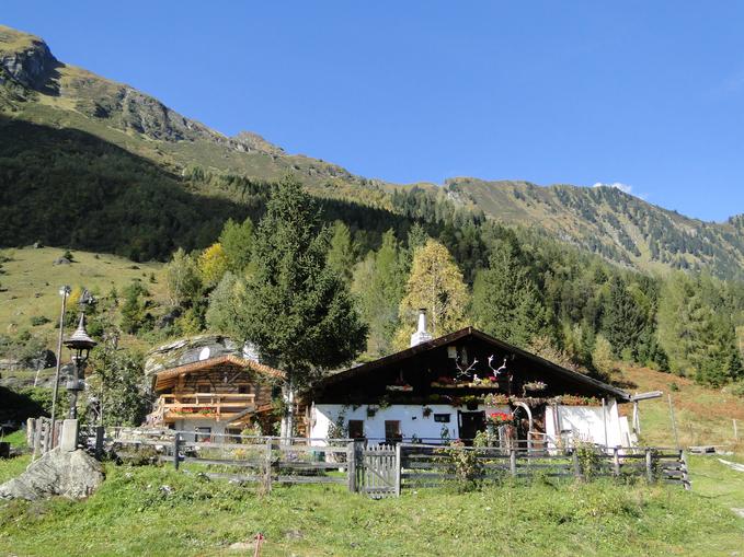 Bucheben - Steinalm - Feldereralm Nr. 20