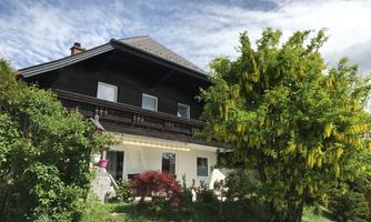 A charming wooden house with a blue sky in the background. In front of the house stands a lush tree with yellow blossoms.
