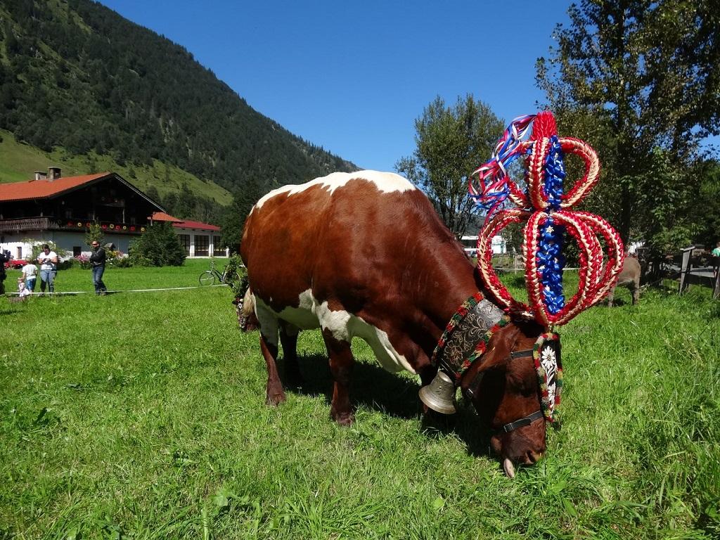 Alpine Pasture Festival