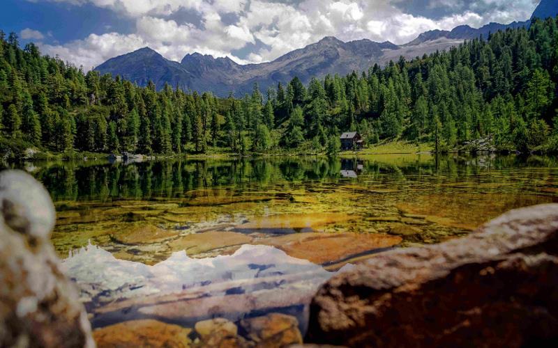 Geführte Wanderung: Reedsee