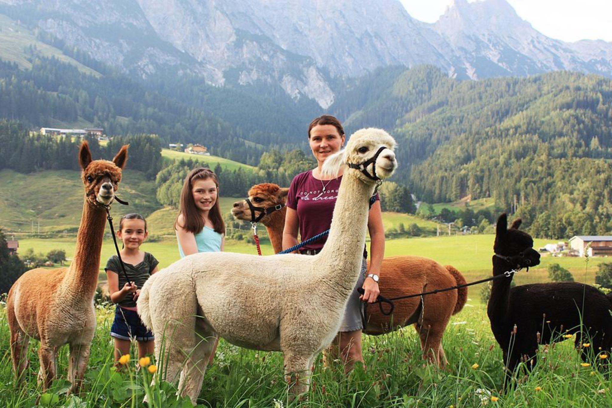 Alpaka Trekking Leogang