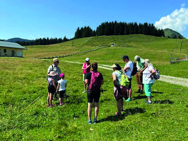 Almblumen-Wanderung/Postalm, Abfahrt Abtenau Ortsmitte 09:25 Uhr