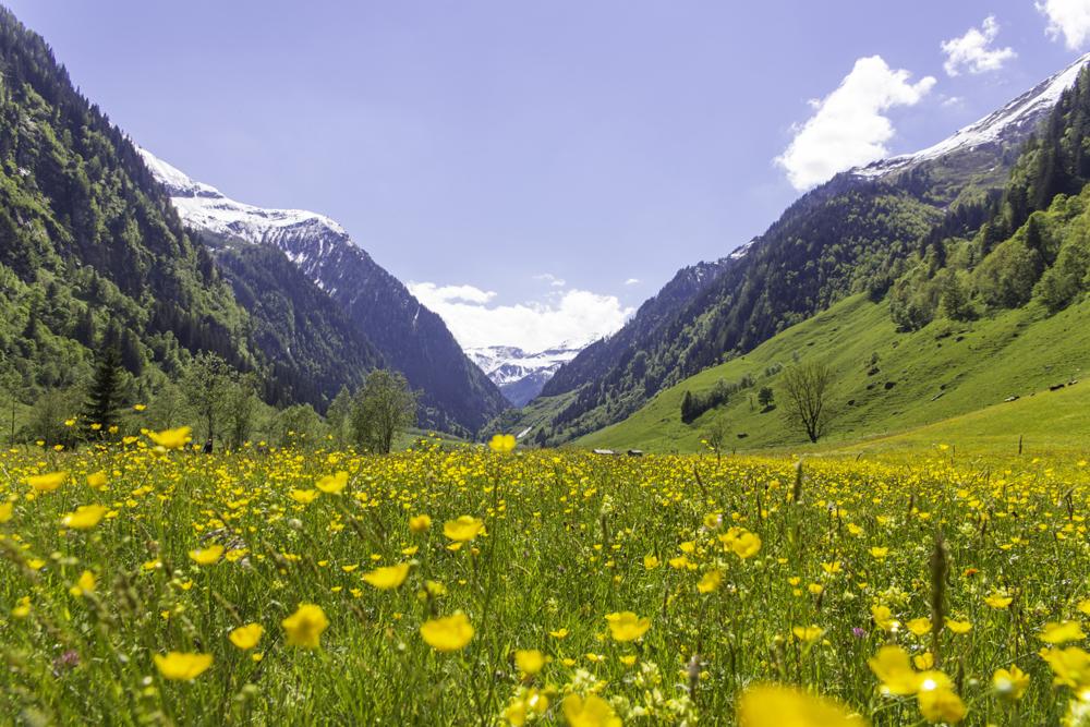 Nationalpark Exkursion zur Hirzkaralm