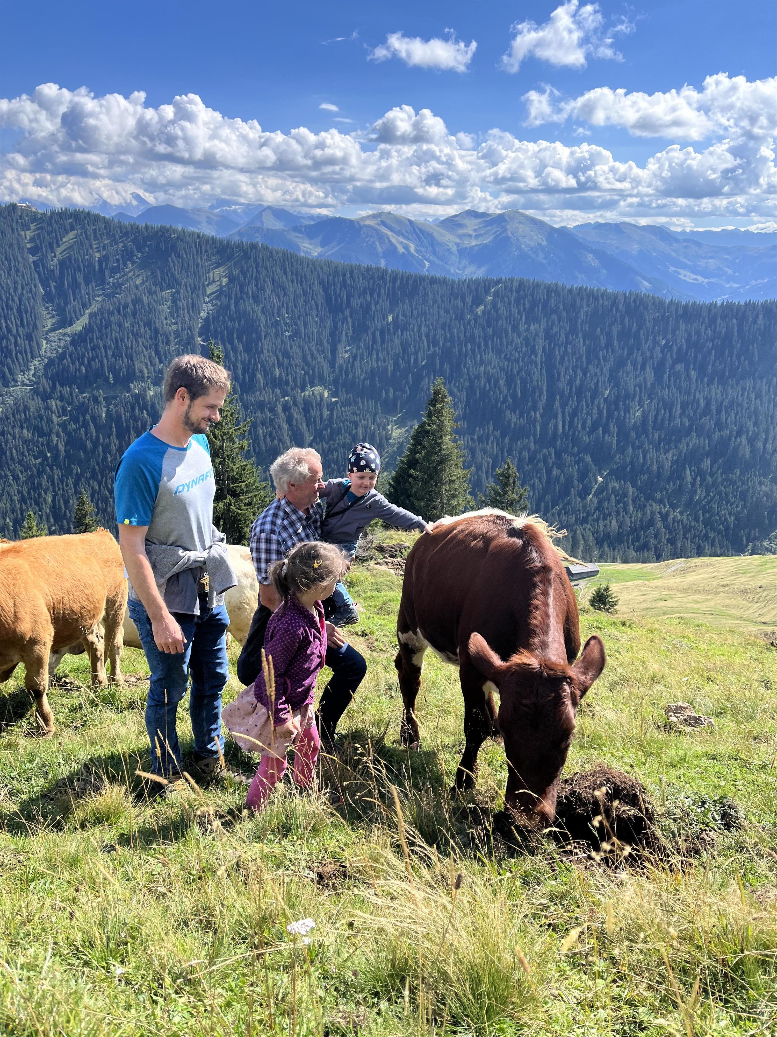 Our cows spend the summer in the alpine pasture and look forward to returning home to us in the autumn.