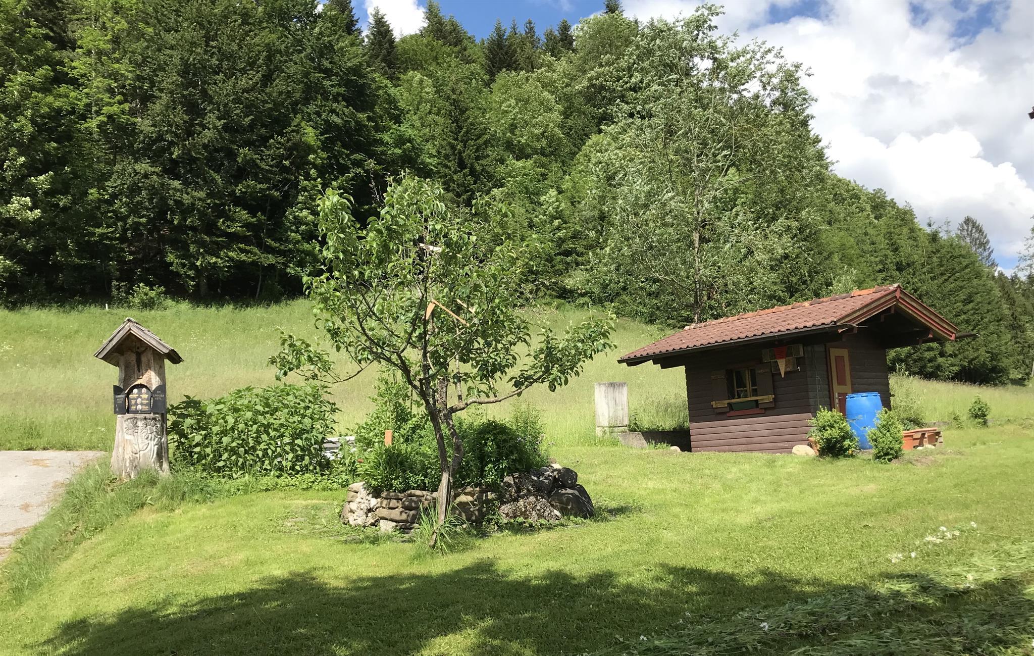 A cozy wooden house in a green meadow, surrounded by trees. In the foreground, there is a well and a fruit tree.