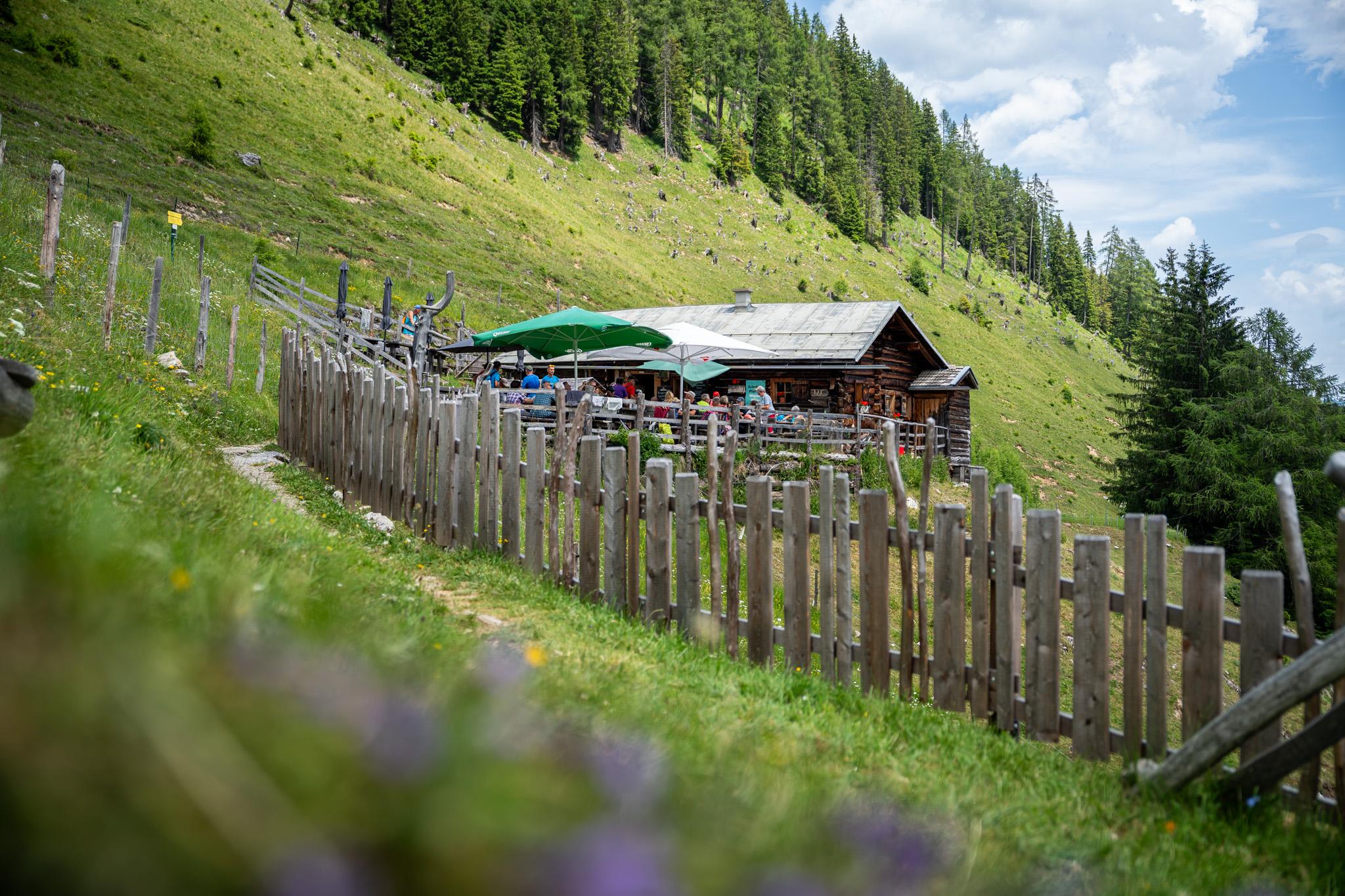 Almabtrieb Viehhausalm