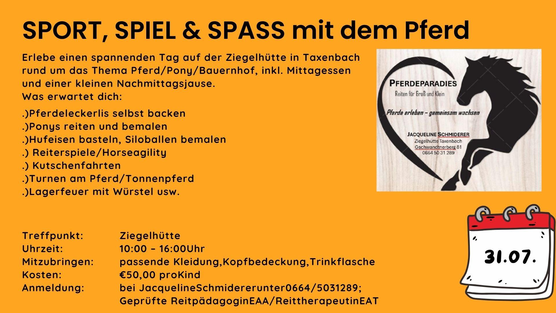 Sport, Spiel, & Spass mit dem Pferd